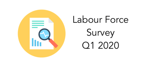 LabourForceSurvey INOU View Preview Box Image