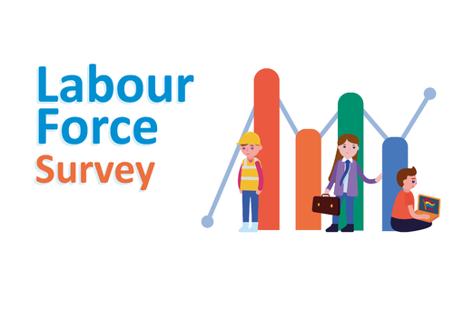 slider_labour_force_survey